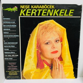 neşe karaböcek - kertenkele lp 